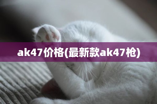 ak47价格(最新款ak47枪)