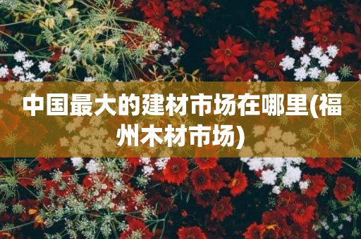 中国最大的建材市场在哪里(福州木材市场)