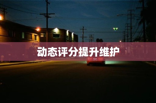 动态评分提升维护