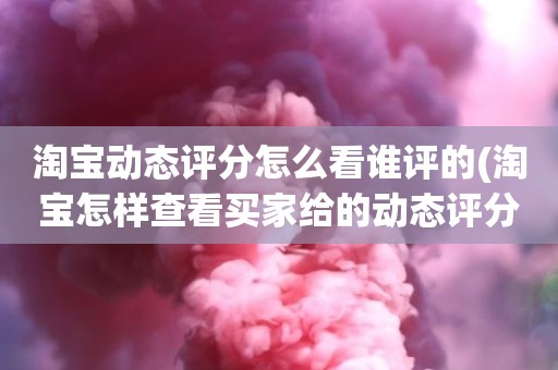 淘宝动态评分怎么看谁评的(淘宝怎样查看买家给的动态评分)