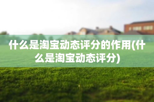 什么是淘宝动态评分的作用(什么是淘宝动态评分)