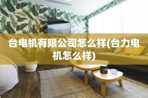台电机有限公司怎么样(台力电机怎么样)