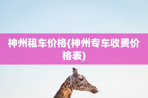 神州租车价格(神州专车收费价格表)