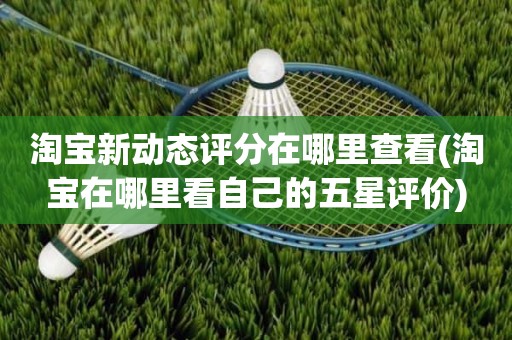 淘宝新动态评分在哪里查看(淘宝在哪里看自己的五星评价)