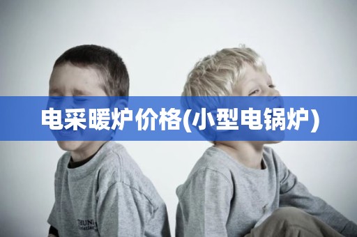 电采暖炉价格(小型电锅炉)