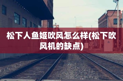 松下人鱼姬吹风怎么样(松下吹风机的缺点)