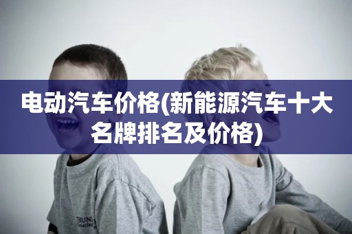 电动汽车价格(新能源汽车十大名牌排名及价格)