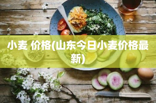 小麦 价格(山东今日小麦价格最新)