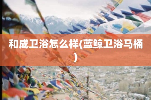 和成卫浴怎么样(蓝鲸卫浴马桶)