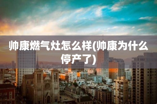 帅康燃气灶怎么样(帅康为什么停产了)