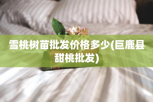 雪桃树苗批发价格多少(巨鹿县甜桃批发)