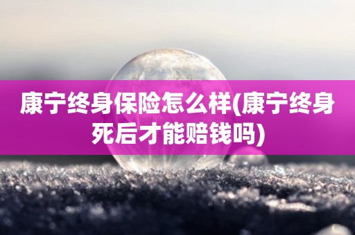 康宁终身保险怎么样(康宁终身死后才能赔钱吗)