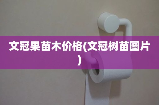 文冠果苗木价格(文冠树苗图片)
