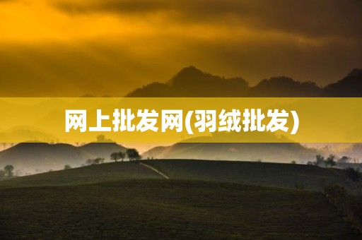 网上批发网(羽绒批发)