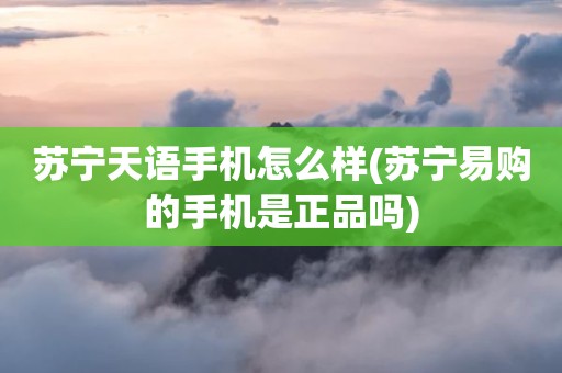 苏宁天语手机怎么样(苏宁易购的手机是正品吗)