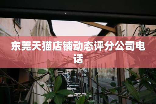 东莞天猫店铺动态评分公司电话