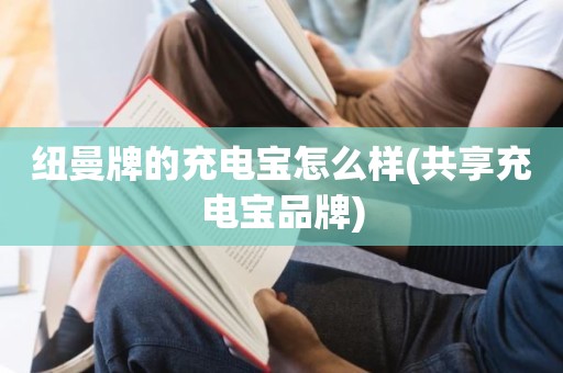 纽曼牌的充电宝怎么样(共享充电宝品牌)