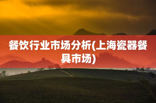 餐饮行业市场分析(上海瓷器餐具市场)