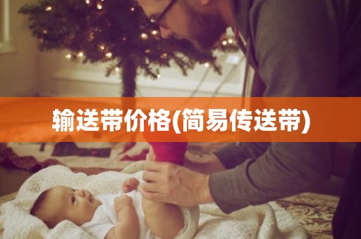 输送带价格(简易传送带)