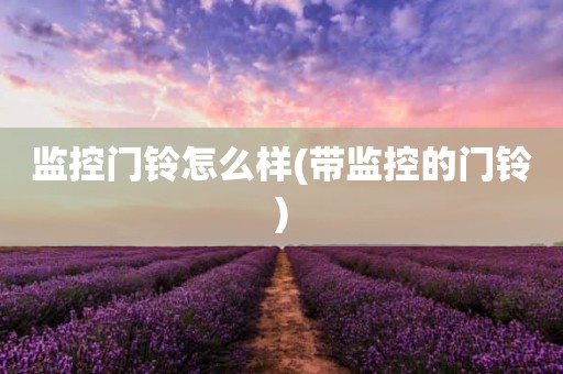 监控门铃怎么样(带监控的门铃)