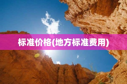 标准价格(地方标准费用)