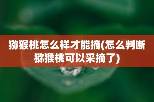 猕猴桃怎么样才能摘(怎么判断猕猴桃可以采摘了)