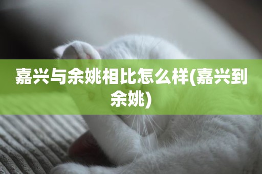 嘉兴与余姚相比怎么样(嘉兴到余姚)