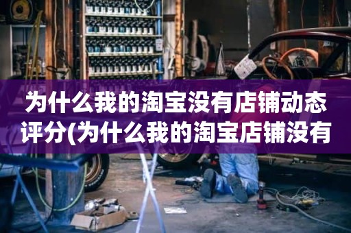 为什么我的淘宝没有店铺动态评分(为什么我的淘宝店铺没有动态评分)