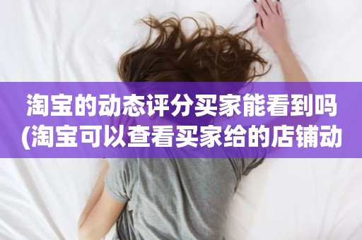 淘宝的动态评分买家能看到吗(淘宝可以查看买家给的店铺动态评分吗)