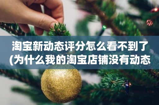 淘宝新动态评分怎么看不到了(为什么我的淘宝店铺没有动态评分)