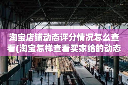 淘宝店铺动态评分情况怎么查看(淘宝怎样查看买家给的动态评分)