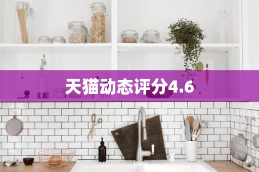 天猫动态评分4.6