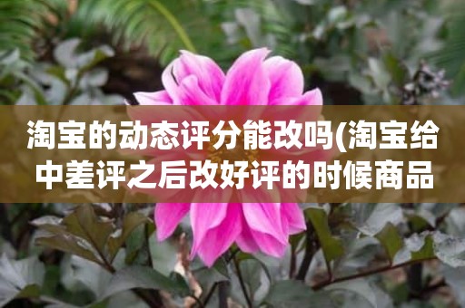 淘宝的动态评分能改吗(淘宝给中差评之后改好评的时候商品的动态评分能改吗)