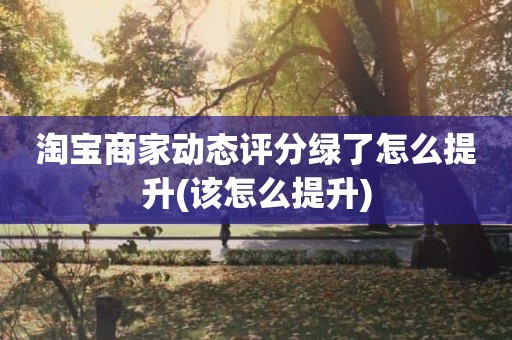 淘宝商家动态评分绿了怎么提升(该怎么提升)