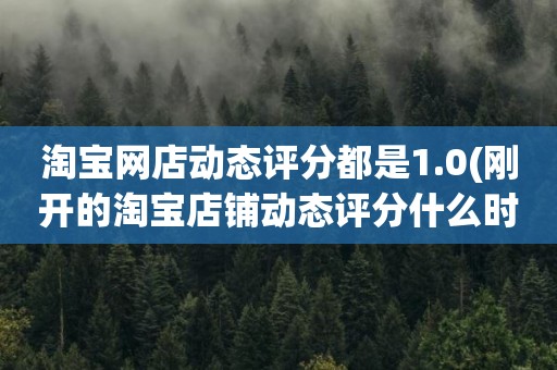 淘宝网店动态评分都是1.0(刚开的淘宝店铺动态评分什么时候开始显示)