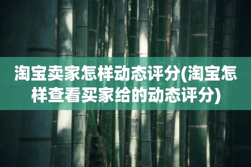 淘宝卖家怎样动态评分(淘宝怎样查看买家给的动态评分)