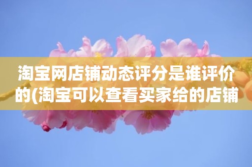 淘宝网店铺动态评分是谁评价的(淘宝可以查看买家给的店铺动态评分吗)