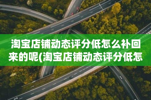 淘宝店铺动态评分低怎么补回来的呢(淘宝店铺动态评分低怎么解决)