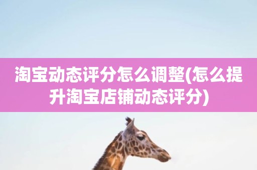 淘宝动态评分怎么调整(怎么提升淘宝店铺动态评分)