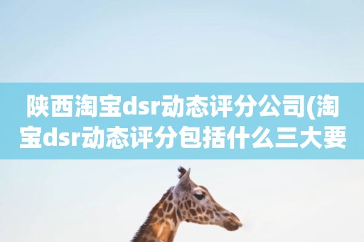 陕西淘宝dsr动态评分公司(淘宝dsr动态评分包括什么三大要素)