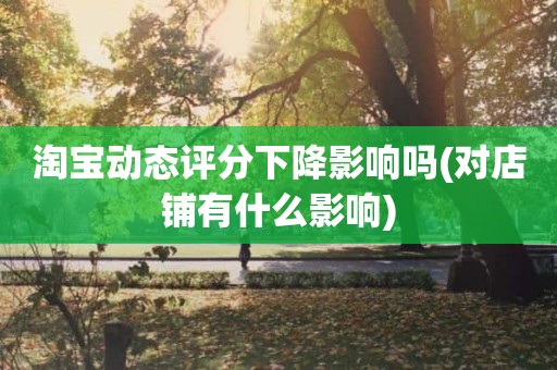 淘宝动态评分下降影响吗(对店铺有什么影响)