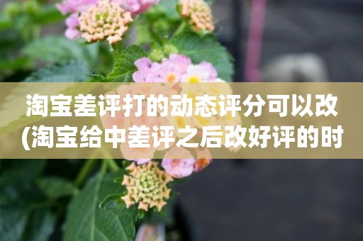淘宝差评打的动态评分可以改(淘宝给中差评之后改好评的时候商品的动态评分能改吗)