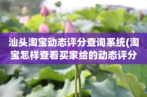 汕头淘宝动态评分查询系统(淘宝怎样查看买家给的动态评分)