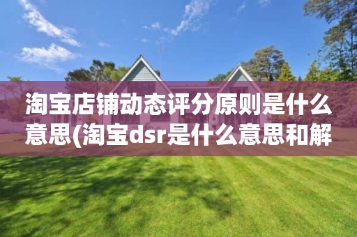 淘宝店铺动态评分原则是什么意思(淘宝dsr是什么意思和解读淘宝店铺动态评分规则)