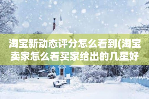 淘宝新动态评分怎么看到(淘宝卖家怎么看买家给出的几星好评)