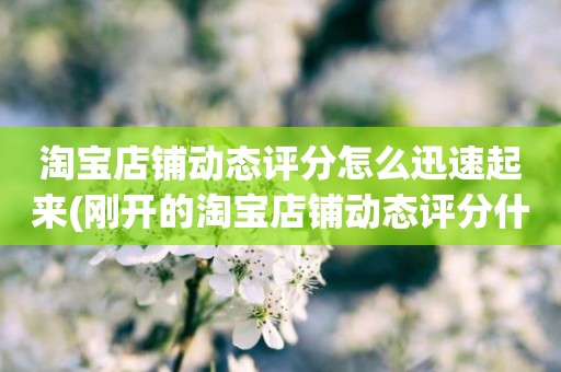 淘宝店铺动态评分怎么迅速起来(刚开的淘宝店铺动态评分什么时候开始显示)