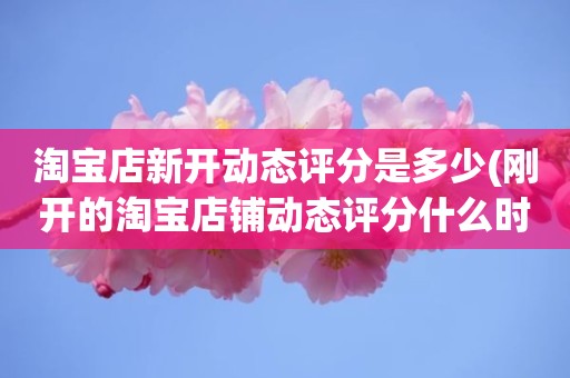 淘宝店新开动态评分是多少(刚开的淘宝店铺动态评分什么时候开始显示)