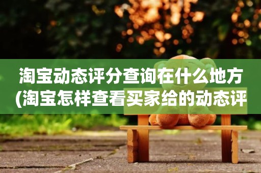 淘宝动态评分查询在什么地方(淘宝怎样查看买家给的动态评分)