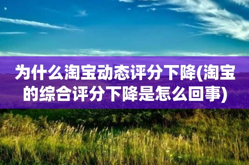 为什么淘宝动态评分下降(淘宝的综合评分下降是怎么回事)