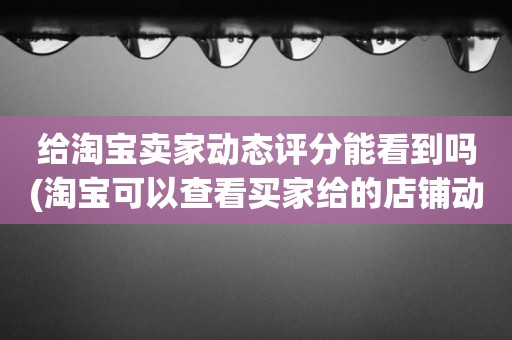 给淘宝卖家动态评分能看到吗(淘宝可以查看买家给的店铺动态评分吗)